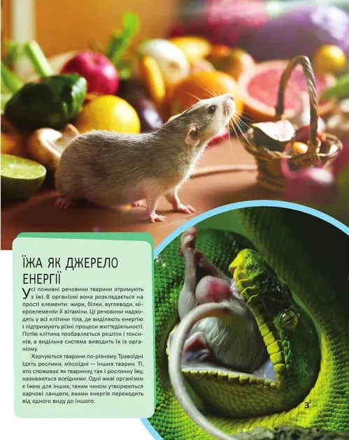 Animals by Maria Zhuchenko Animals by Maria Zhuchenko