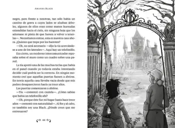 Ornate black wrought iron gate with Amanda Black crest Ornate black wrought iron gate with Amanda Black crest