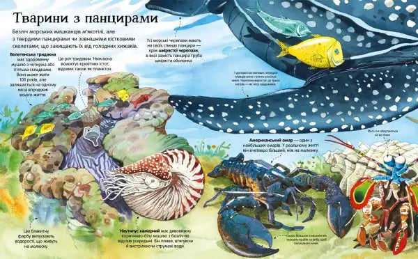 Illustrated diagram of sea creatures with shells in Big Book of Sea Creatures for children