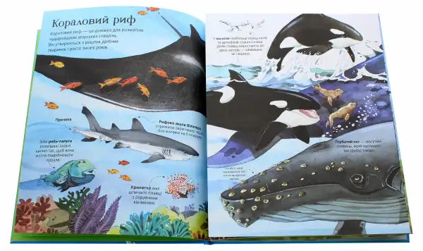 Open Big Book of Sea Creatures children’s encyclopedia with colorful marine life illustrations Open Big Book of Sea Creatures children’s encyclopedia with colorful marine life illustrations