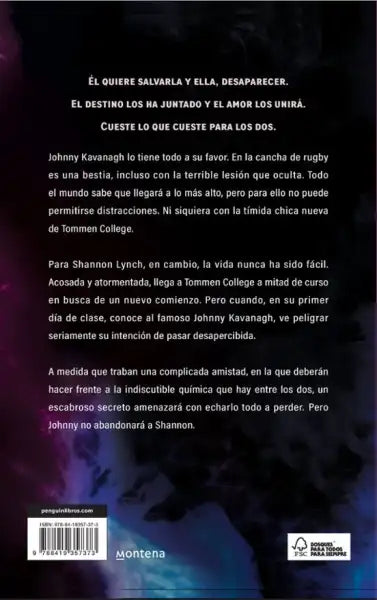 Back cover of Binding 13 by Chloe Walsh, Los Chicos sports romance, Spanish edition Back cover of Binding 13 by Chloe Walsh, Los Chicos sports romance, Spanish edition