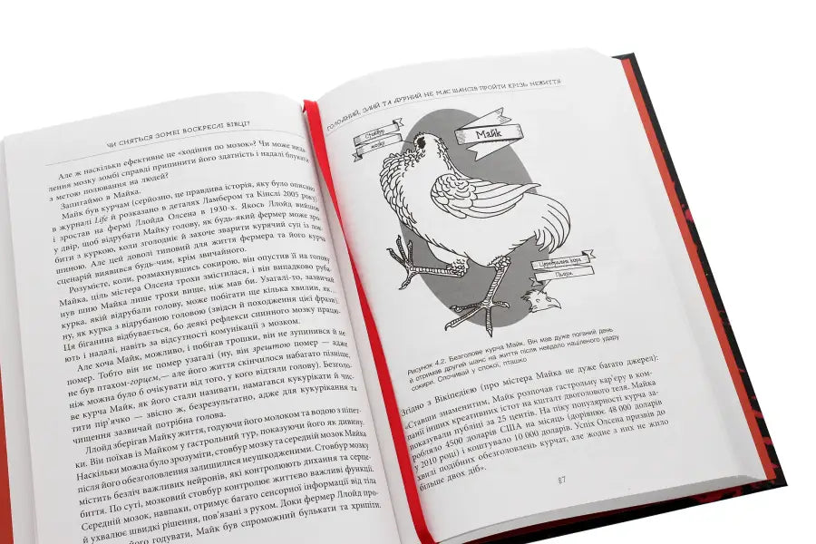 Open book with bird illustration.