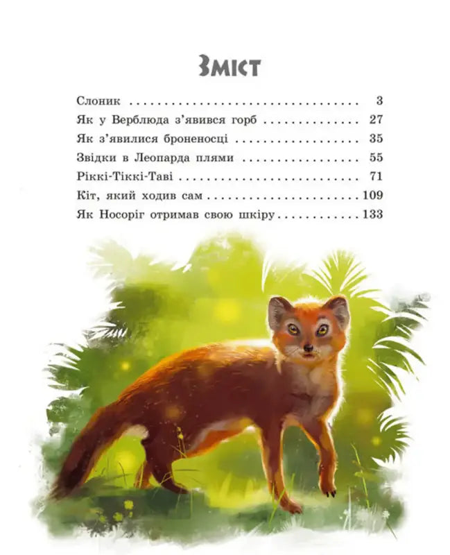Golden Collection beautifully illustrated Ukrainian orange mongoose from Distant Lands