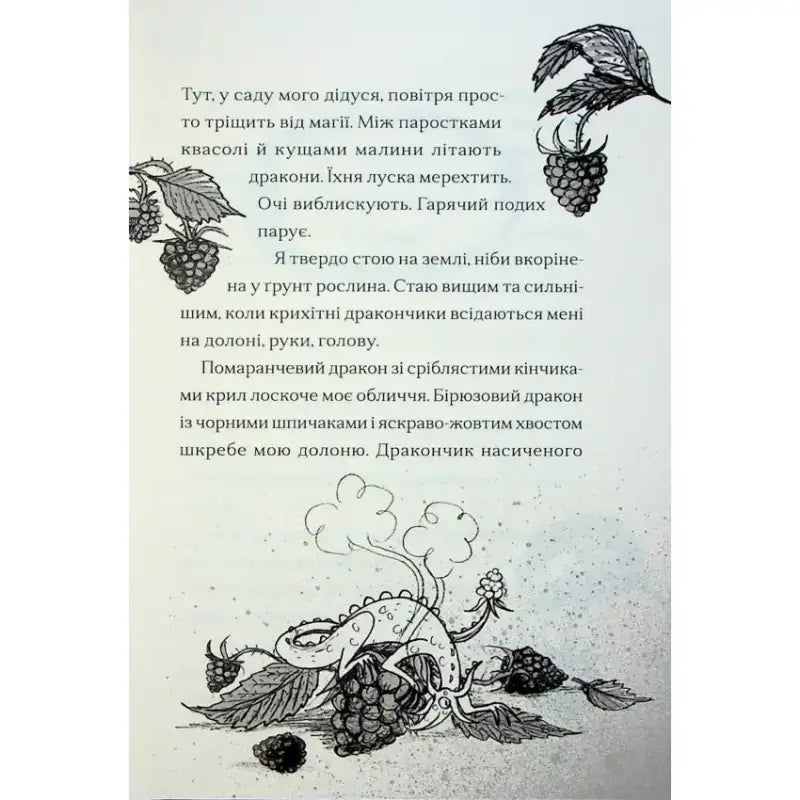 Народність та магія: фрагмент книги "Хлопчик, який співав з драконами" з ілюстрацією драконів та малини. Народність та магія: фрагмент книги "Хлопчик, який співав з драконами" з ілюстрацією драконів та малини.
