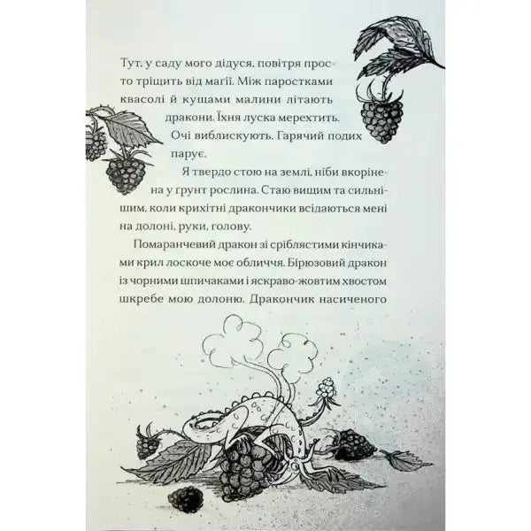 Whimsical dragon illustration from The Boy Who Sang with Dragons by Olga Renn Whimsical dragon illustration from The Boy Who Sang with Dragons by Olga Renn