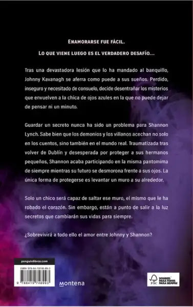 Back cover of Enamorarse Fue Fácil by Montena, Chloe Walsh sport romance sequel Los Chicos Back cover of Enamorarse Fue Fácil by Montena, Chloe Walsh sport romance sequel Los Chicos