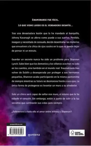 Back cover of Enamorarse Fue Fácil by Montena, Chloe Walsh sport romance sequel Los Chicos Back cover of Enamorarse Fue Fácil by Montena, Chloe Walsh sport romance sequel Los Chicos