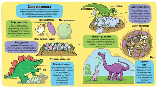 Illustrated Little Explorers Dinosaurs interactive board book with dinosaur eggs for children Illustrated Little Explorers Dinosaurs interactive board book with dinosaur eggs for children