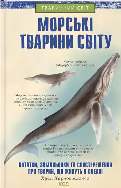 Book cover of Sea Animals of the World English book featuring marine animals and sketches Book cover of Sea Animals of the World English book featuring marine animals and sketches