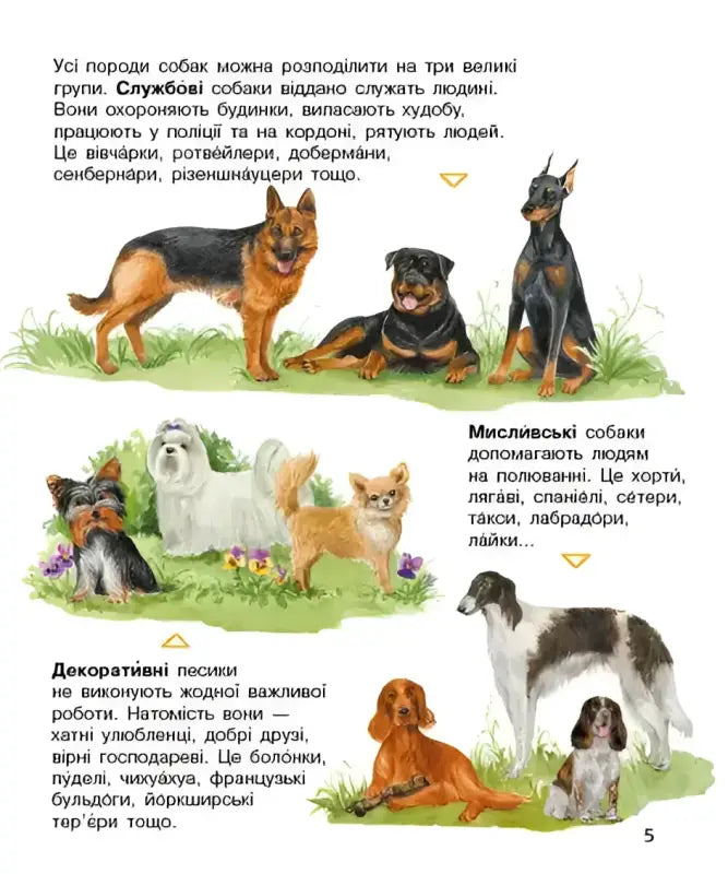 Illustration of various Dog breeds from Preschooler’s Encyclopedia showcasing canine companions fun