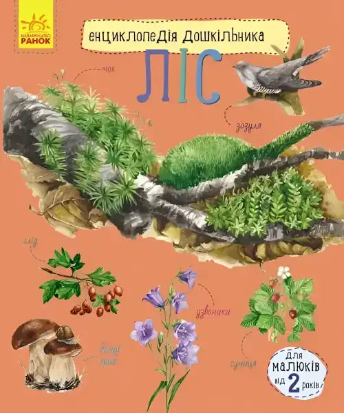 Children’s encyclopedia book cover about the forest ecosystem, perfect for English books for kids Children’s encyclopedia book cover about the forest ecosystem, perfect for English books for kids