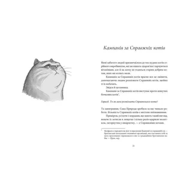 Illustration of a cat and text on Ukrainian hardcover of Real Cat by Terry Pratchett Illustration of a cat and text on Ukrainian hardcover of Real Cat by Terry Pratchett