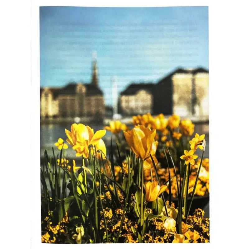 Yellow tulips and daffodils from The Art of Work Danish Style by Miek Wiking Yellow tulips and daffodils from The Art of Work Danish Style by Miek Wiking