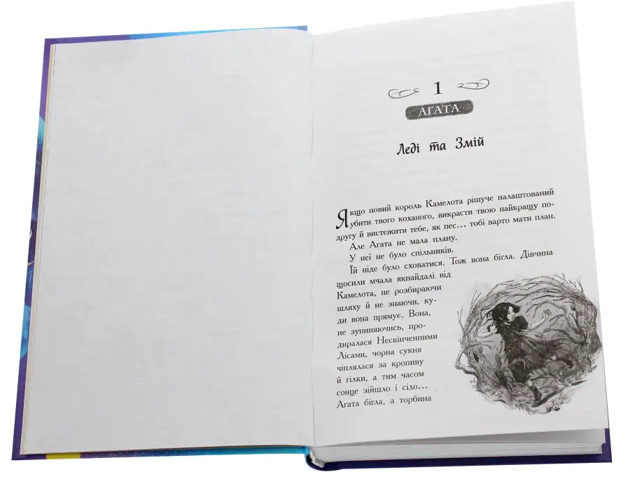 Open book with text and illustration.