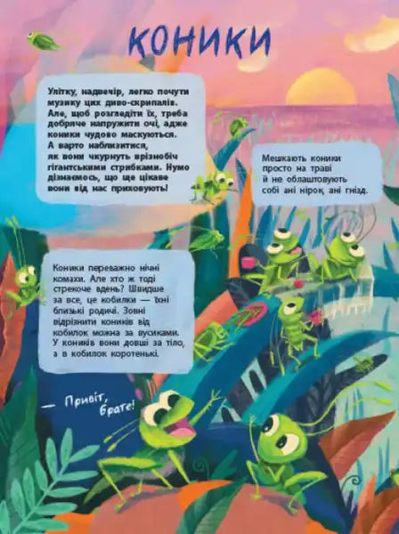 Colorful cartoon grasshoppers from The Secret Life of Insects, a Ukrainian children’s book introducing young children to the fascinating world for young readers Colorful cartoon grasshoppers from The Secret Life of Insects, a Ukrainian children’s book introducing young children to the fascinating world for young readers