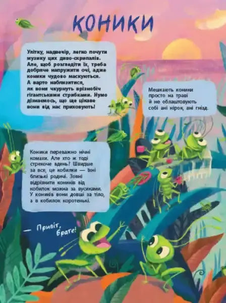 Colorful cartoon grasshoppers from The Secret Life of Insects, a Ukrainian children’s book introducing young children to the fascinating world for young readers Colorful cartoon grasshoppers from The Secret Life of Insects, a Ukrainian children’s book introducing young children to the fascinating world for young readers