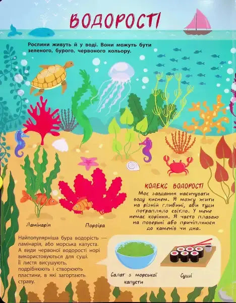 Colorful underwater scene from The Secret Life of Plants ukrainian children’s book introduces young readers Colorful underwater scene from The Secret Life of Plants ukrainian children’s book introduces young readers