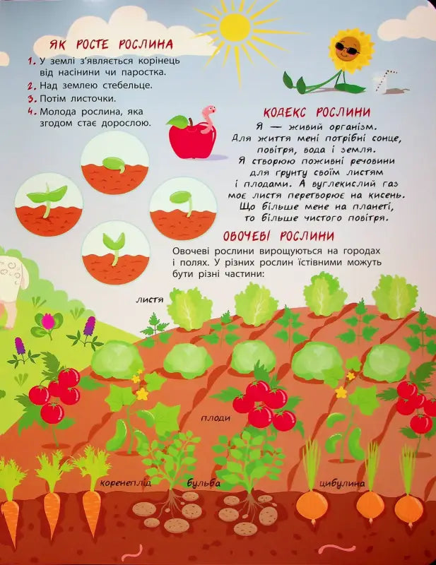 Educational illustration of plant growth and vegetable crops from the Secret Life of Plants children’s book