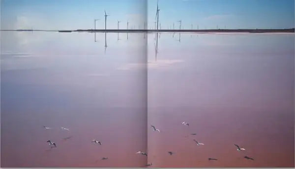 Pink lake with wind turbines and seagulls in Bohdan Logvinenko Ukrainian Edition large-format photo book Pink lake with wind turbines and seagulls in Bohdan Logvinenko Ukrainian Edition large-format photo book