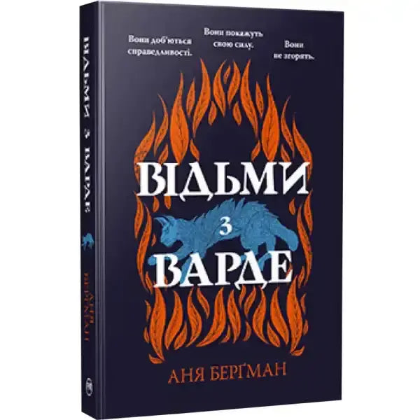 Book cover with blue cat and flames for The Witches of Vardø by Anya Bergman, English books Book cover with blue cat and flames for The Witches of Vardø by Anya Bergman, English books