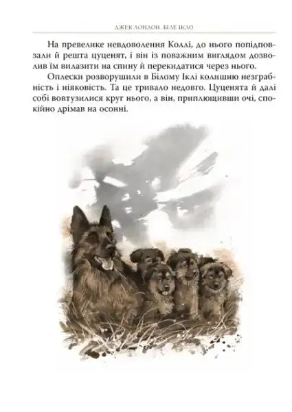 German Shepherd with five puppies from White Fang by Jack London Ukrainian Edition hardcover German Shepherd with five puppies from White Fang by Jack London Ukrainian Edition hardcover