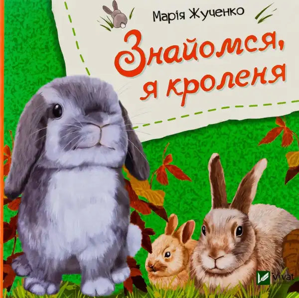 Children’s book cover with rabbit illustrations from Meet Me I’m a Bunny by Mariya Zhuchenko Children’s book cover with rabbit illustrations from Meet Me I’m a Bunny by Mariya Zhuchenko