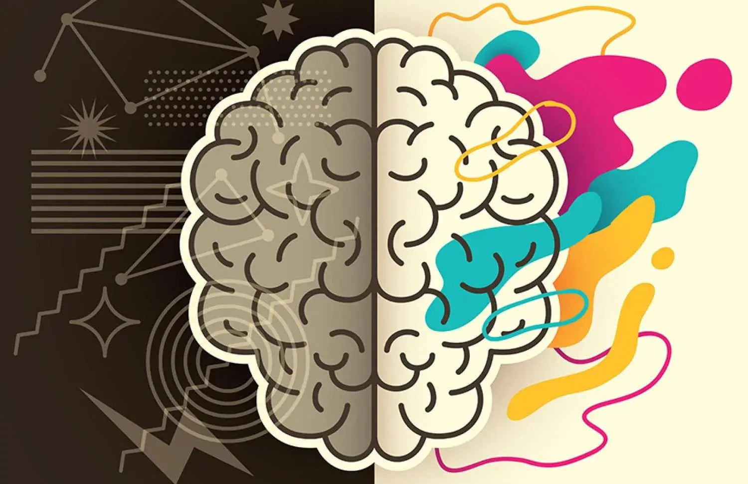 Brain with contrasting hemispheres from psychology books on understanding the mind