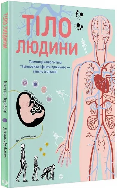 The Human Body by Cristina Peraboni
