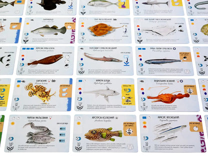 Finspan (Rybokrai) — Board Game