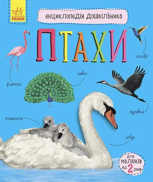Encyclopedia of the Preschooler: Birds by Yulia Kasparova