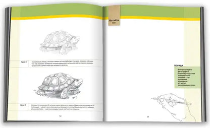 Open illustrated drawing guide book showcasing creative ideas for pencil drawing