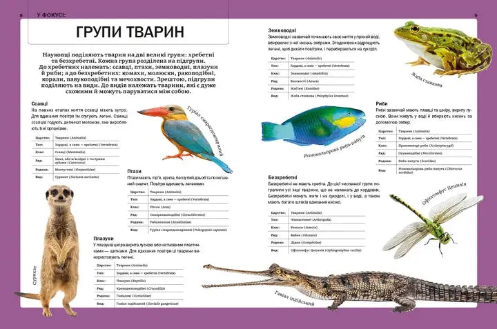 The Big Book of Animals by Claudia Martin
