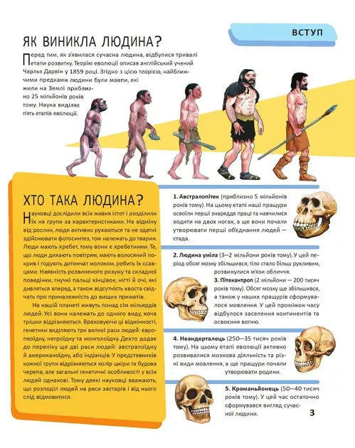 The Human Body by Maria Zhuchenko