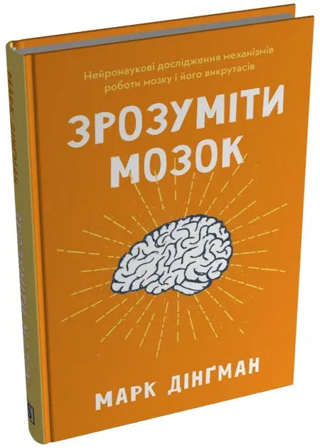 Your Brain, Explained by Marc Dingman