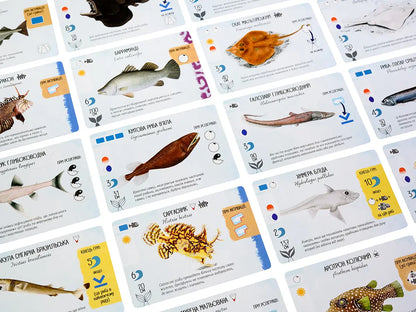 Finspan (Rybokrai) — Board Game