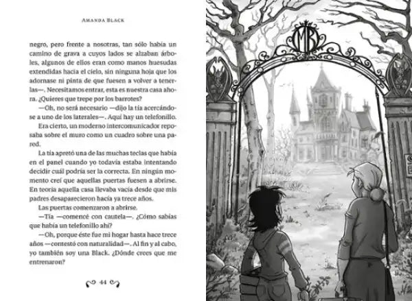 Ornate black wrought iron gate with Amanda Black crest