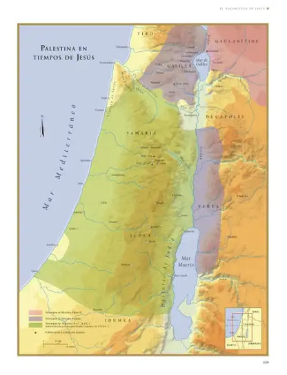 Vintage green brown purple map of Palestine in Biblica Bible Atlas book