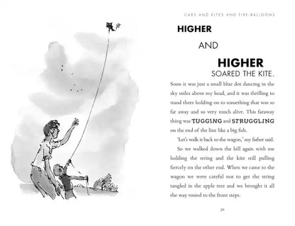 Quentin Blake illustrated kite from Roald Dahl book Danny the Champion of the World