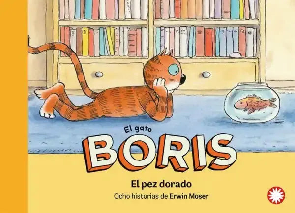 Orange tabby gato Boris with blue eye lies by bookshelves for family story time