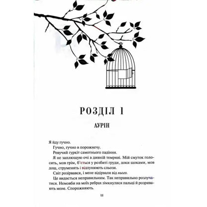 Book page with birdcage illustration from Kennedy Raven Ukrainian hardcover fantasy romance