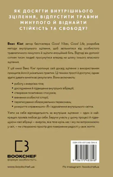 Ukrainian hardcover book by Vex King showing back cover with title and description