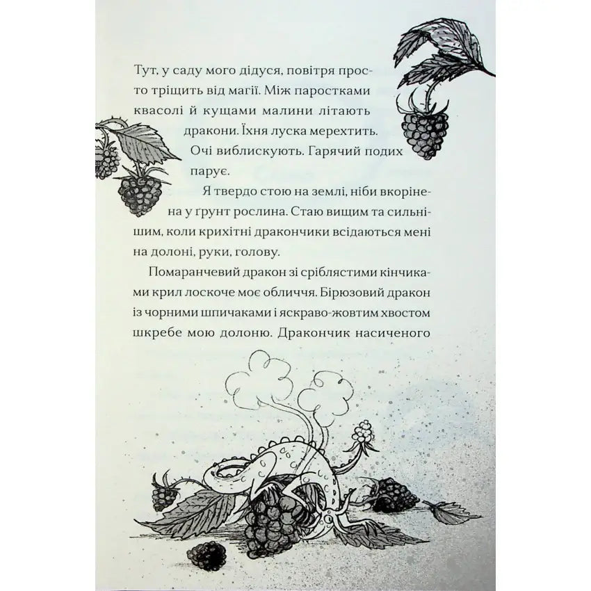 Народність та магія: фрагмент книги "Хлопчик, який співав з драконами" з ілюстрацією драконів та малини.