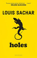 cover for HOLES