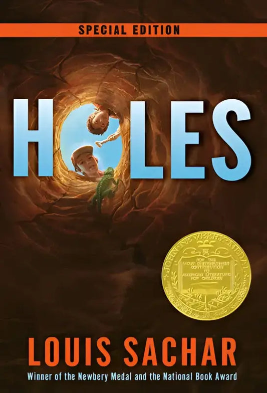 cover for HOLES