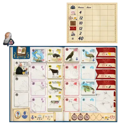 In the Footsteps of Darwin strategy board game with vintage journal and animal cards