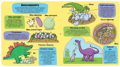 Illustrated Little Explorers Dinosaurs interactive board book with dinosaur eggs for children