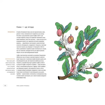 Coffee plant illustration from New Rules of Coffee Ukrainian hardcover by Kelsey Wroten