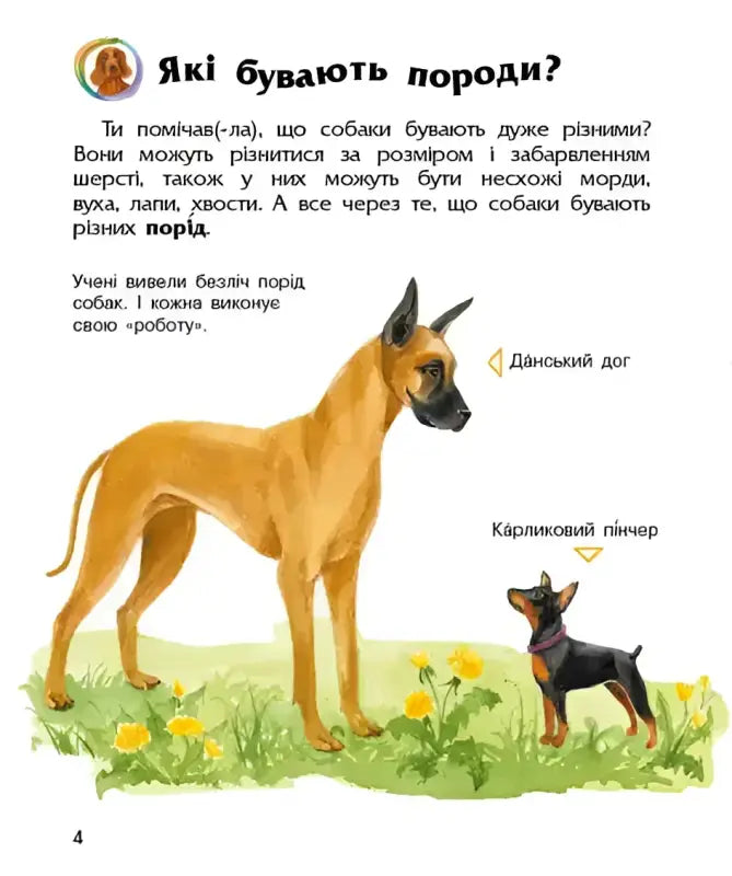 Image of two dog breeds from Preschoolers Encyclopedia Dogs showcasing fun canine companions