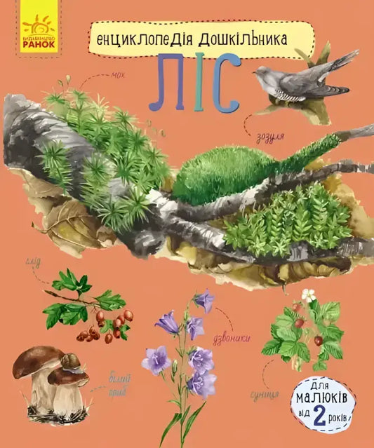 Children’s encyclopedia book cover about the forest ecosystem, perfect English books for preschoolers
