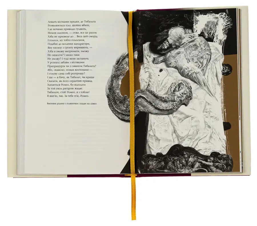 Open book with illustration.